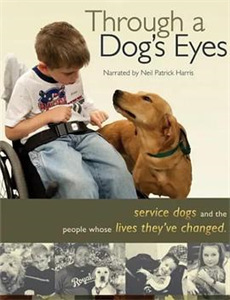 全职高手 第二季