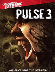 萌芽熊童子第2季