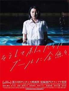 提琴少年韩沐伯的安利小百科